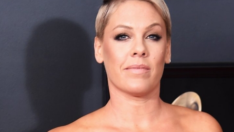 "Hurts 2B Human" de P!nk estreia no topo da parada americana de álbuns