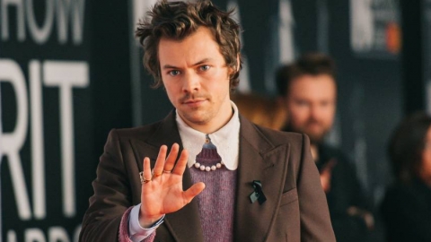 Confira as fotos do tapete vermelho do BRIT Awards 2020