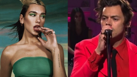 Dua Lipa e Harry Styles recusam convite para se apresentar no VMA 2020, diz site