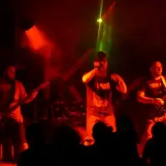Stoned Bulls
