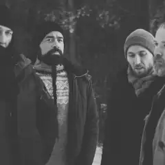 Ulver